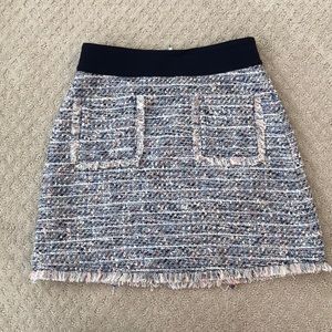 J Crew Skirt